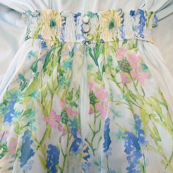 Taylor Size 10 Blue and Green Floral Maxi Dress - Picture 5 of 14